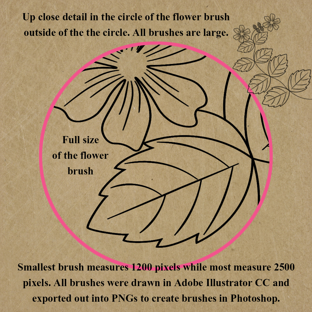 FB Flowers N Foliage Photoshop CC Brushes by N/A