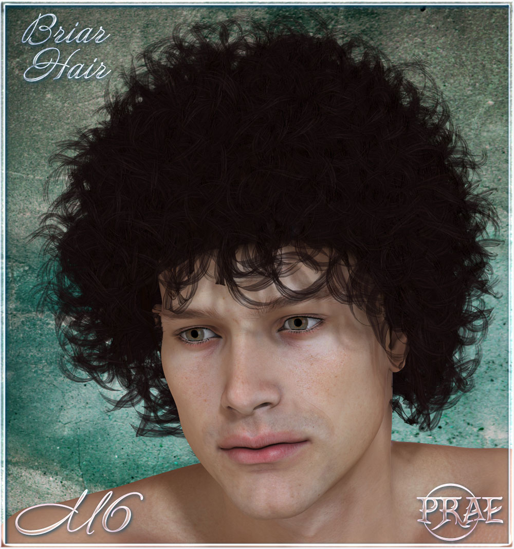 Prae-Briar Hair by N/A