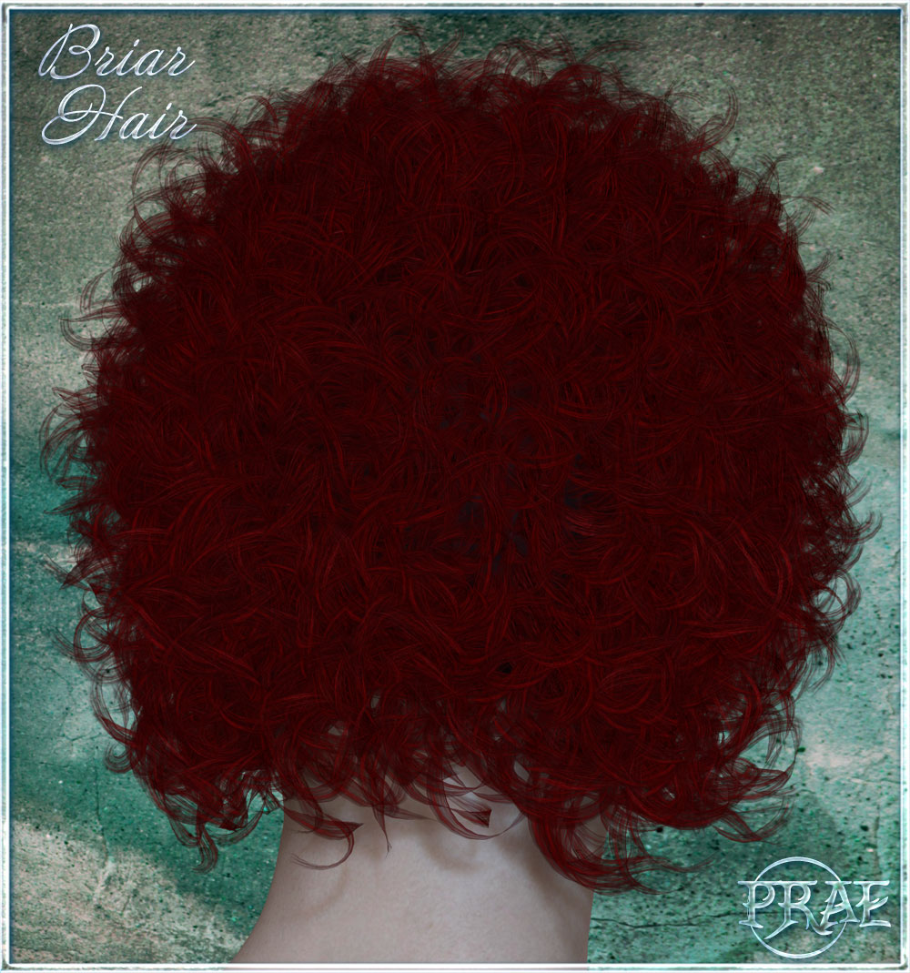 Prae-Briar Hair by N/A