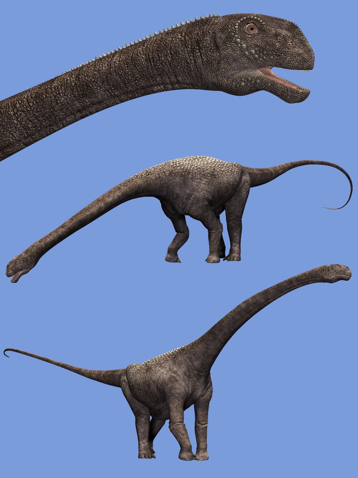 Malawisaurus DR by N/A