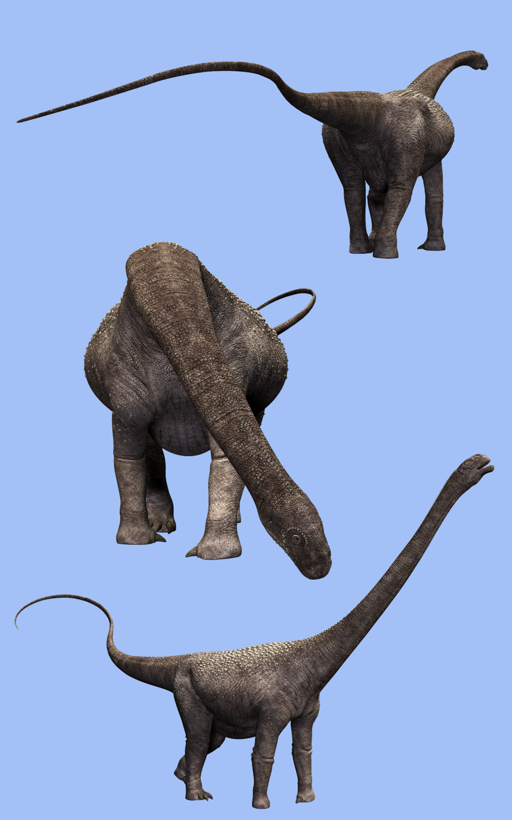 Malawisaurus DR by N/A