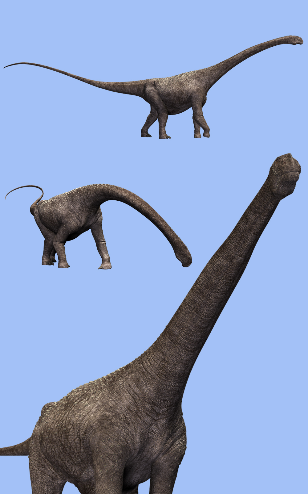 Malawisaurus DR by N/A
