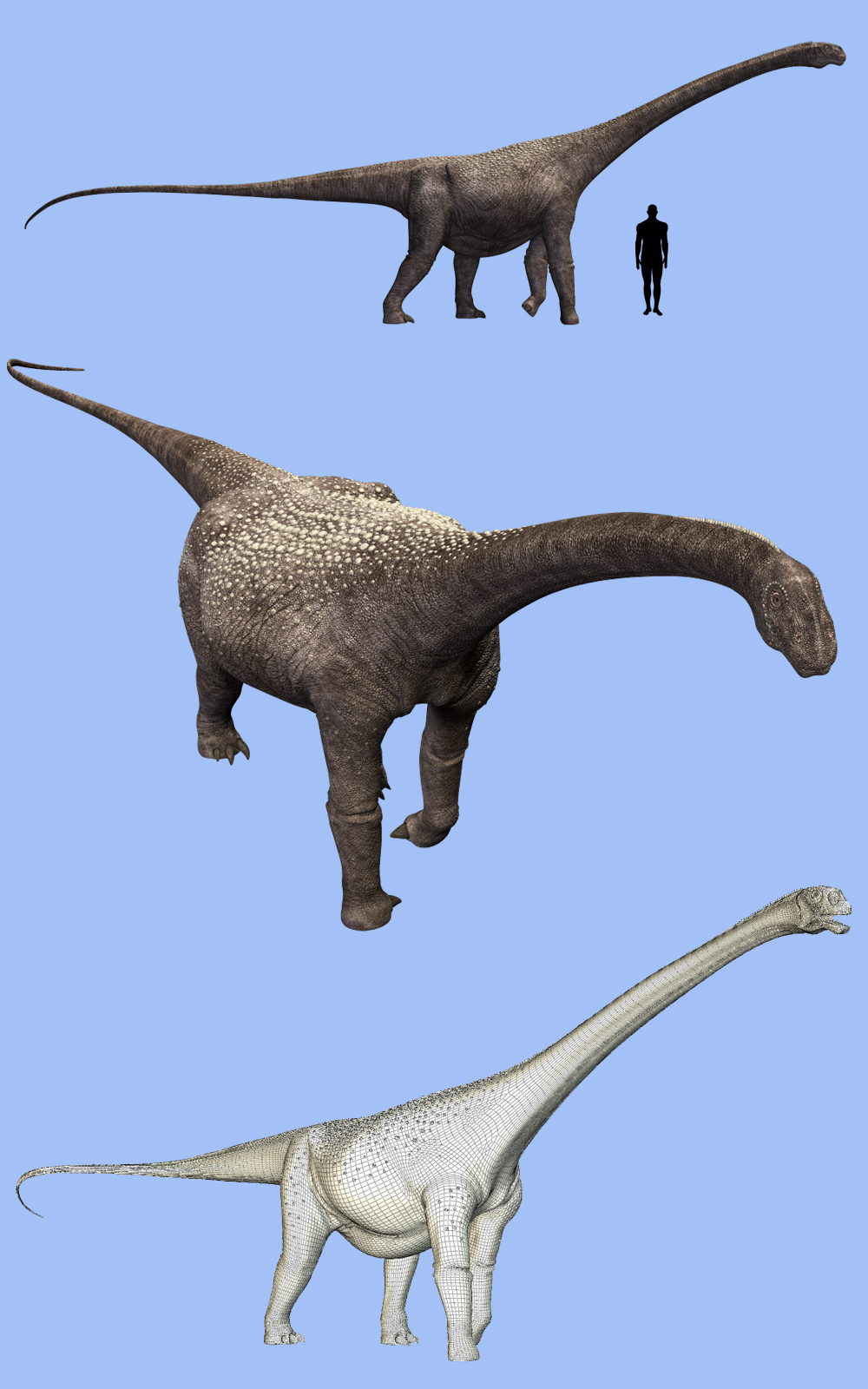 Malawisaurus DR by N/A