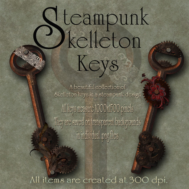 Steampunk Skelleton Keys by N/A