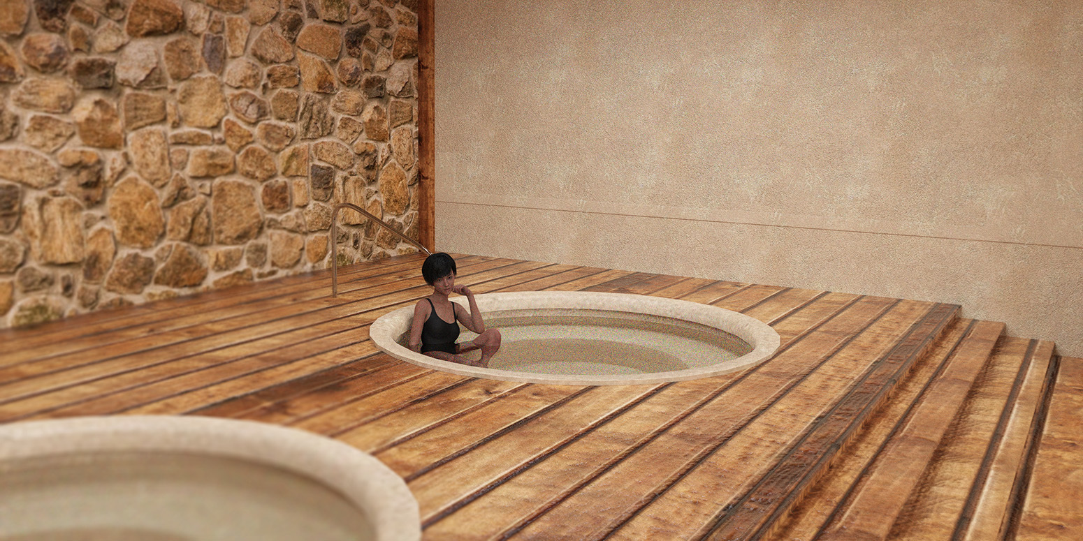 Indoor Pool Spa & Bar by N/A