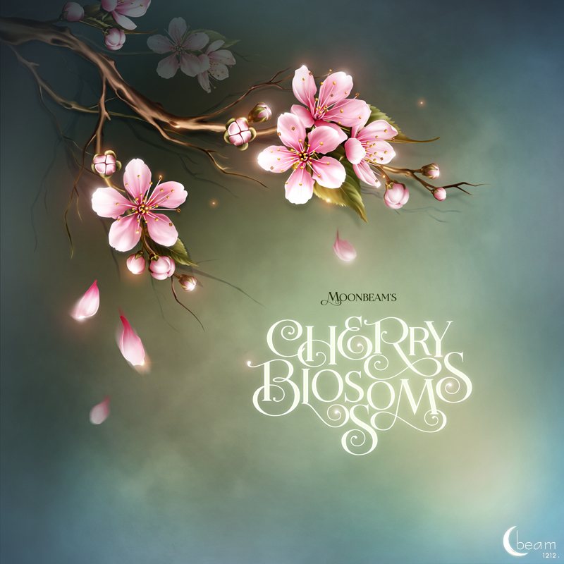 Moonbeam's Cherry Blossoms by N/A