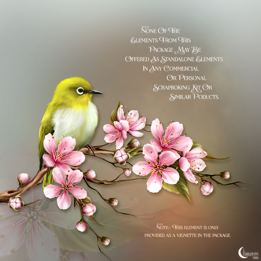 Moonbeam's Cherry Blossoms by N/A