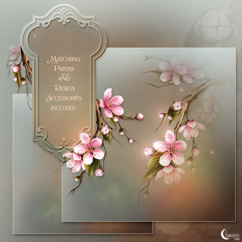 Moonbeam's Cherry Blossoms by N/A