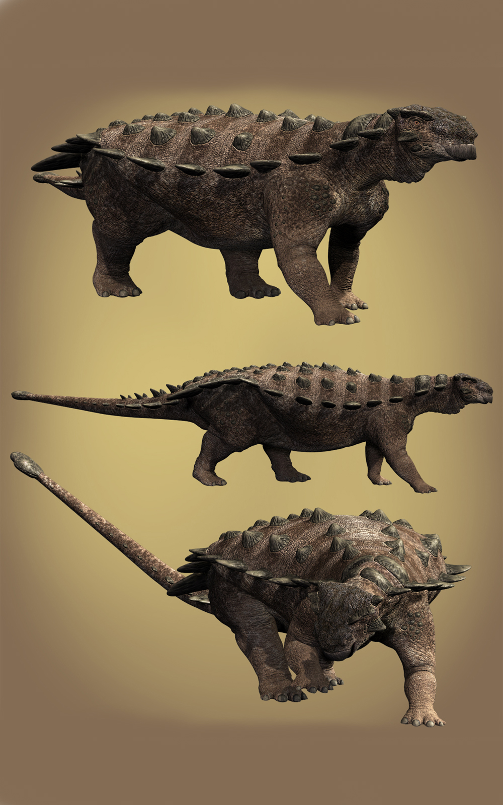 Pinacosarus DR by N/A