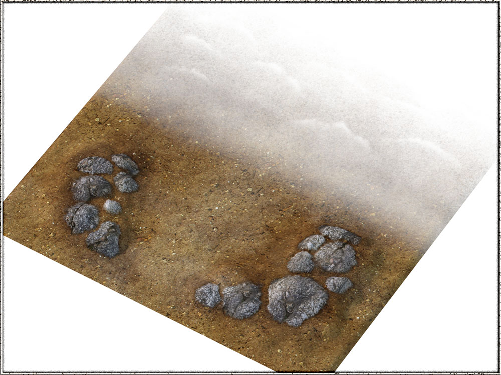 Wasteland 2 by N/A