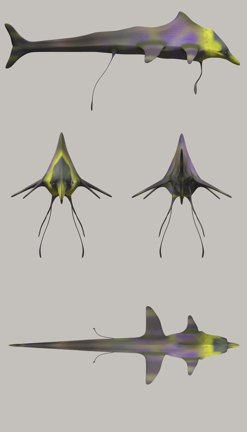 Dolfiny by N/A