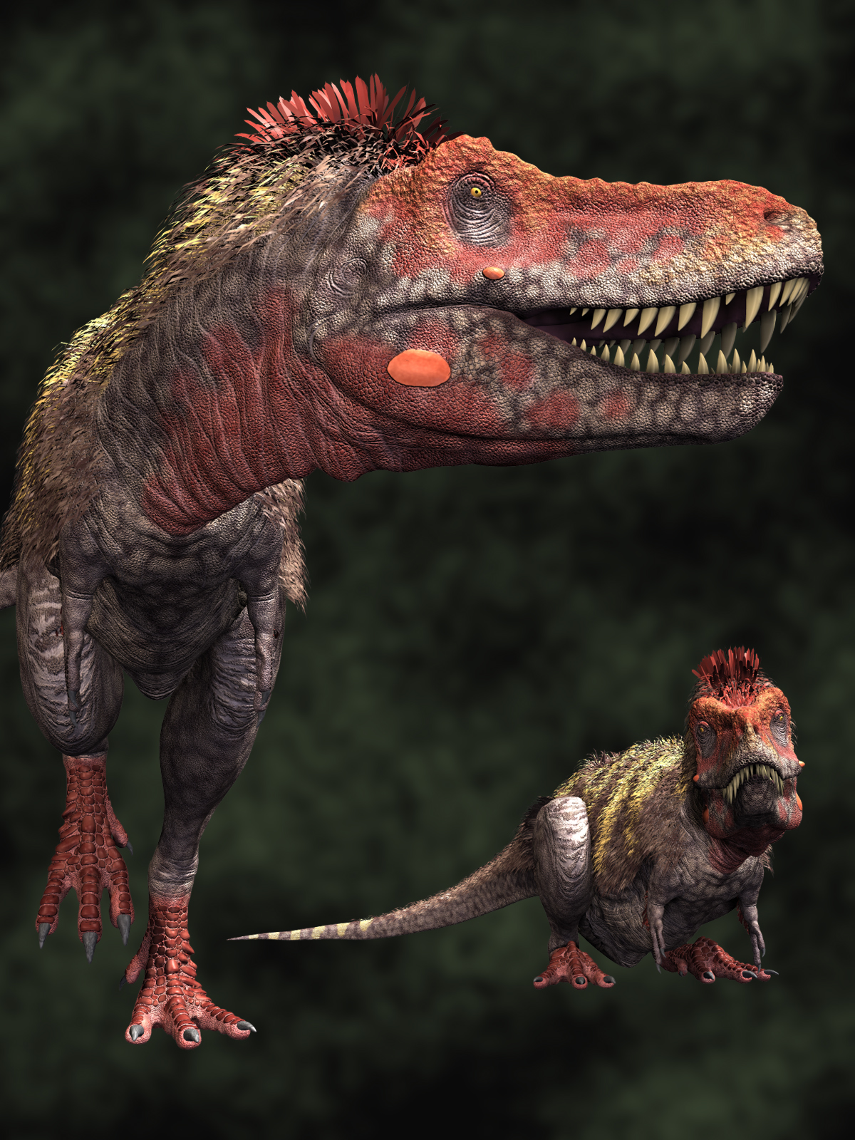 Tarbosaurus DR2 by N/A