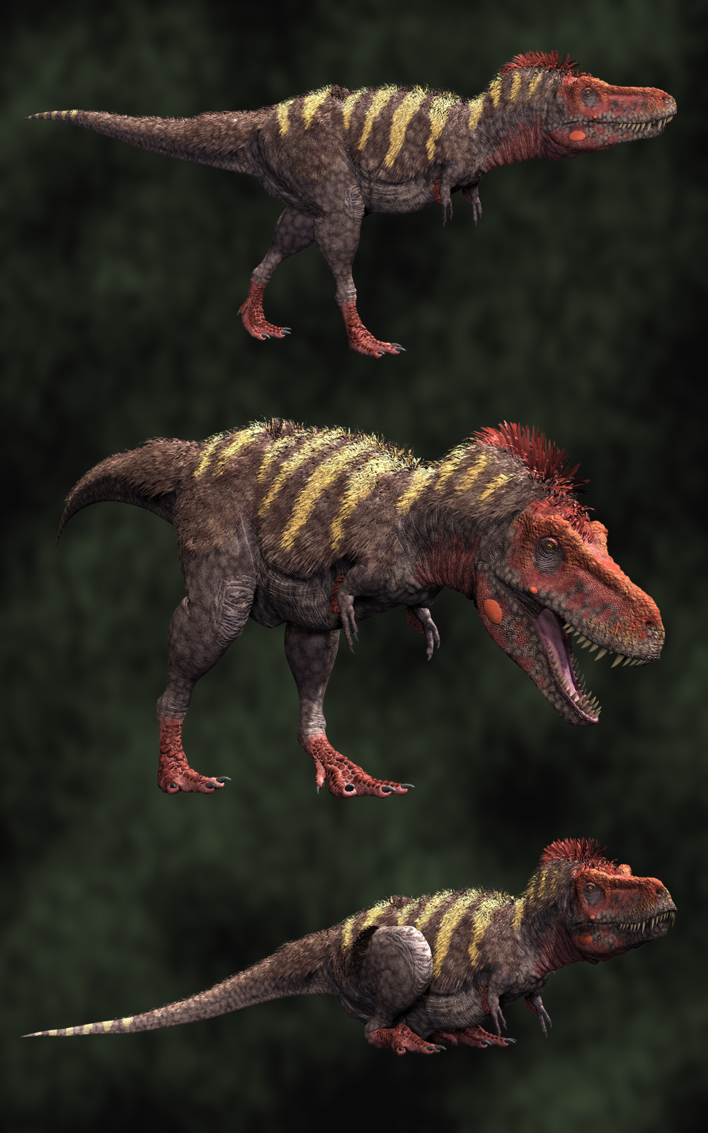 Tarbosaurus DR2 by N/A