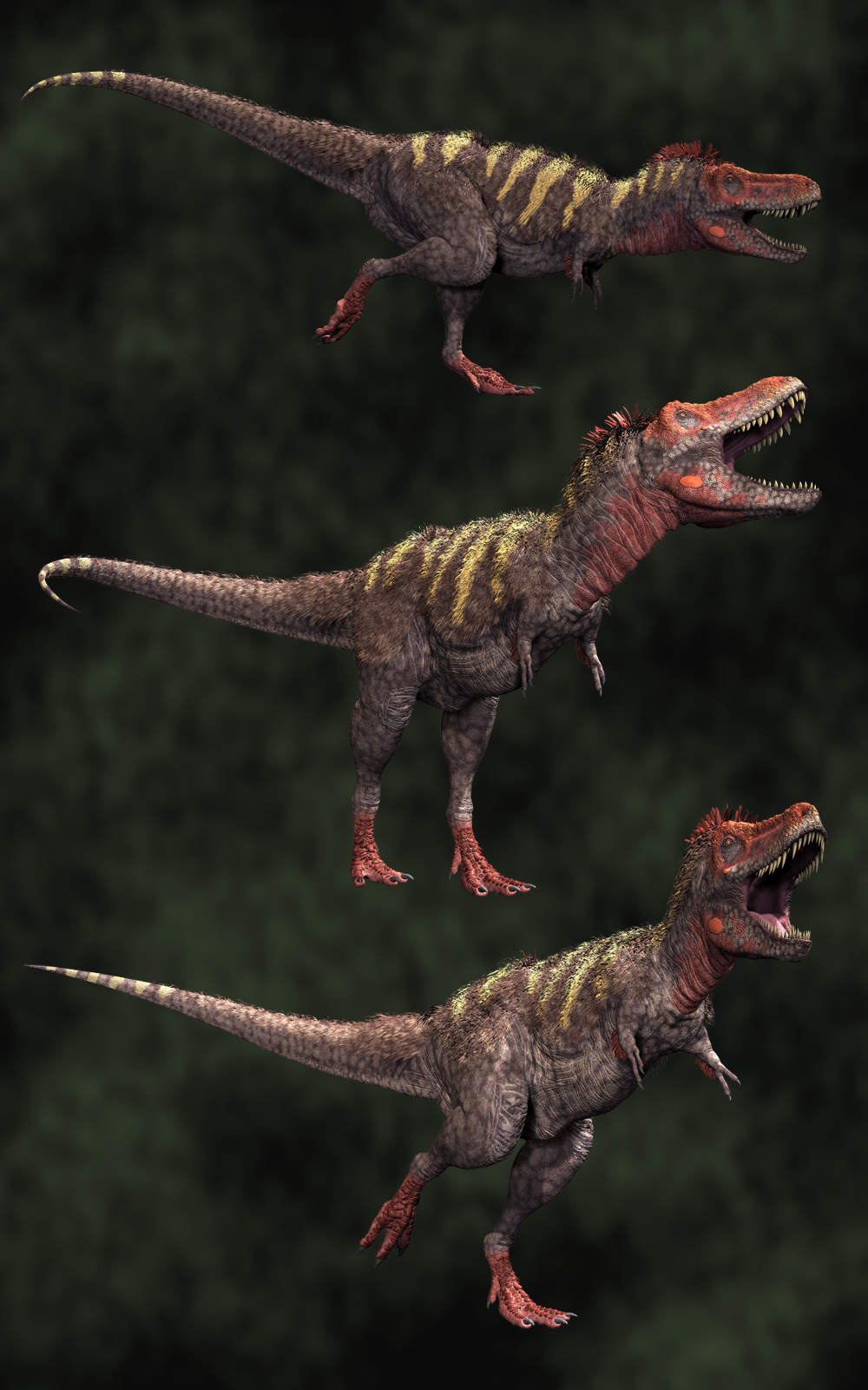 Tarbosaurus DR2 by N/A