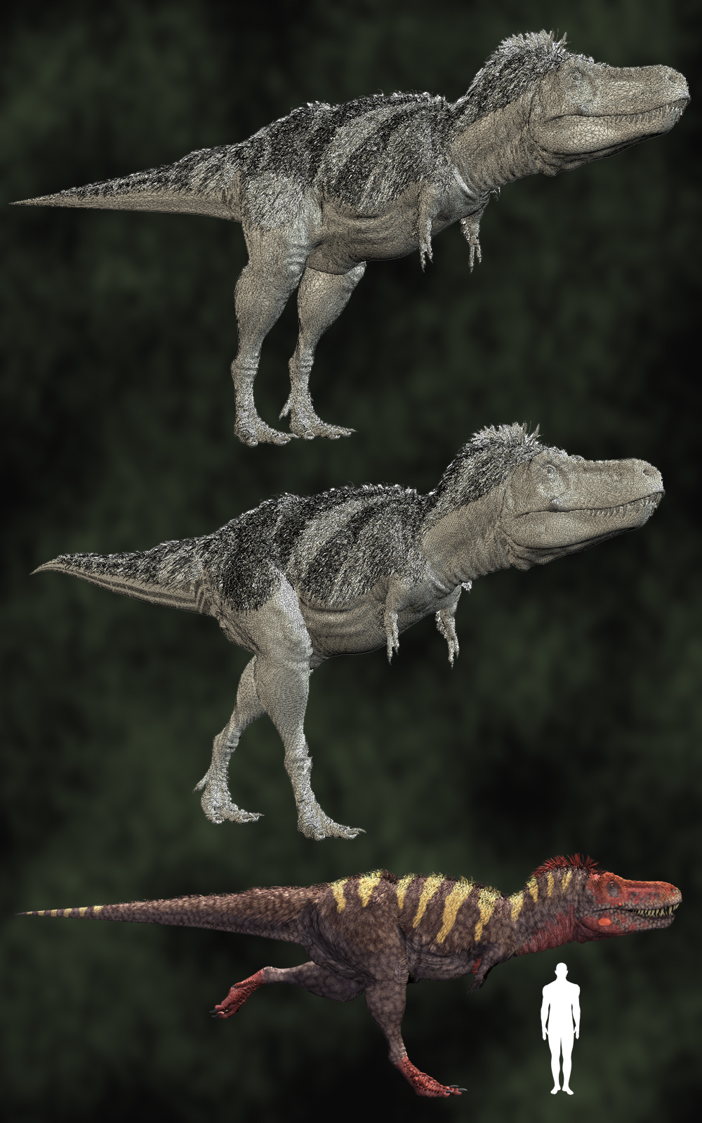 Tarbosaurus DR2 by N/A