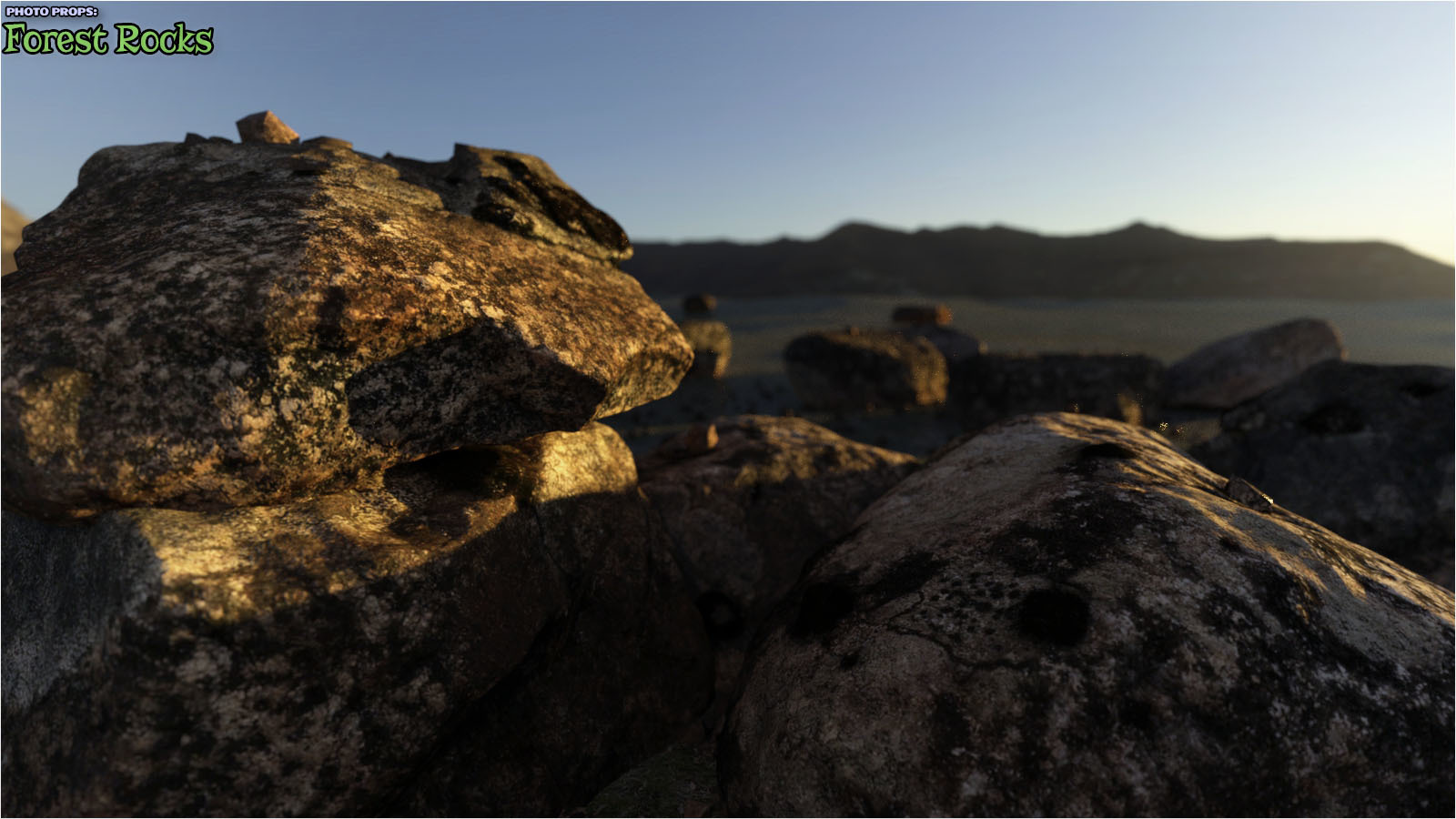 Photo Props: Forest Rocks by N/A