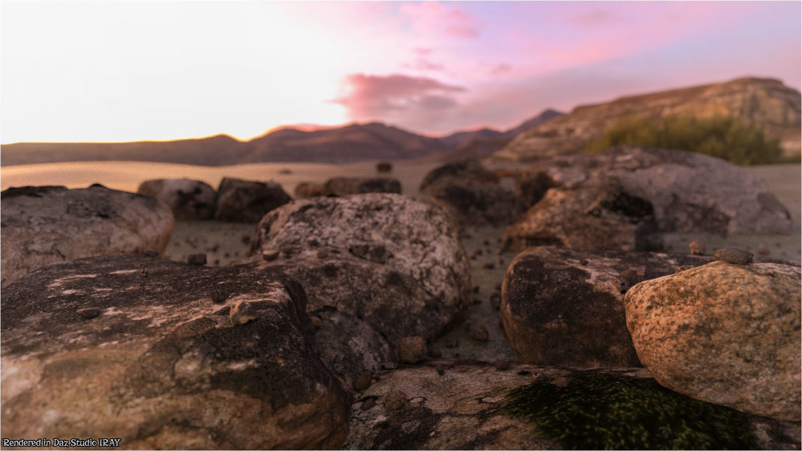 Photo Props: Forest Rocks by N/A