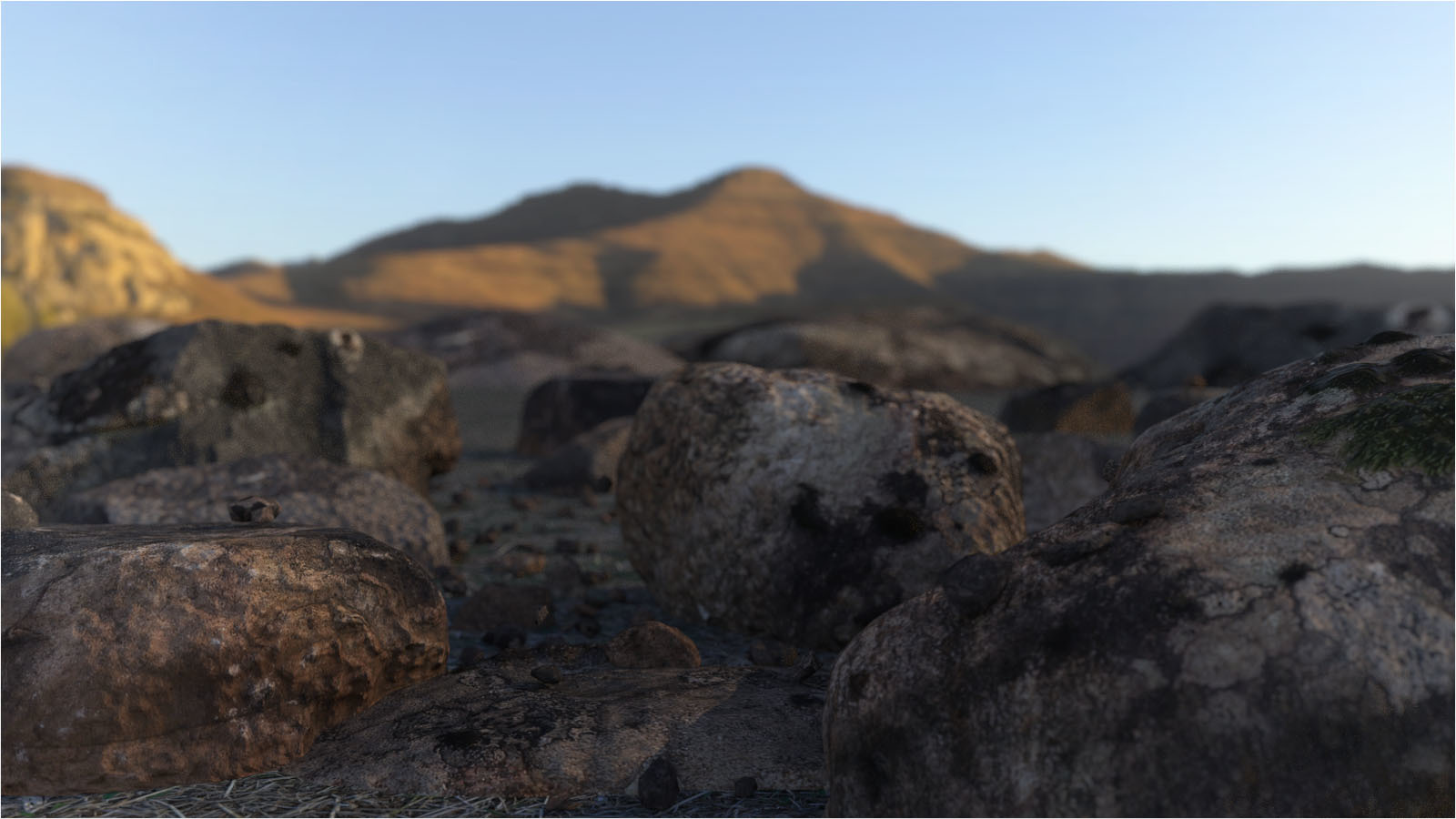 Photo Props: Forest Rocks by N/A