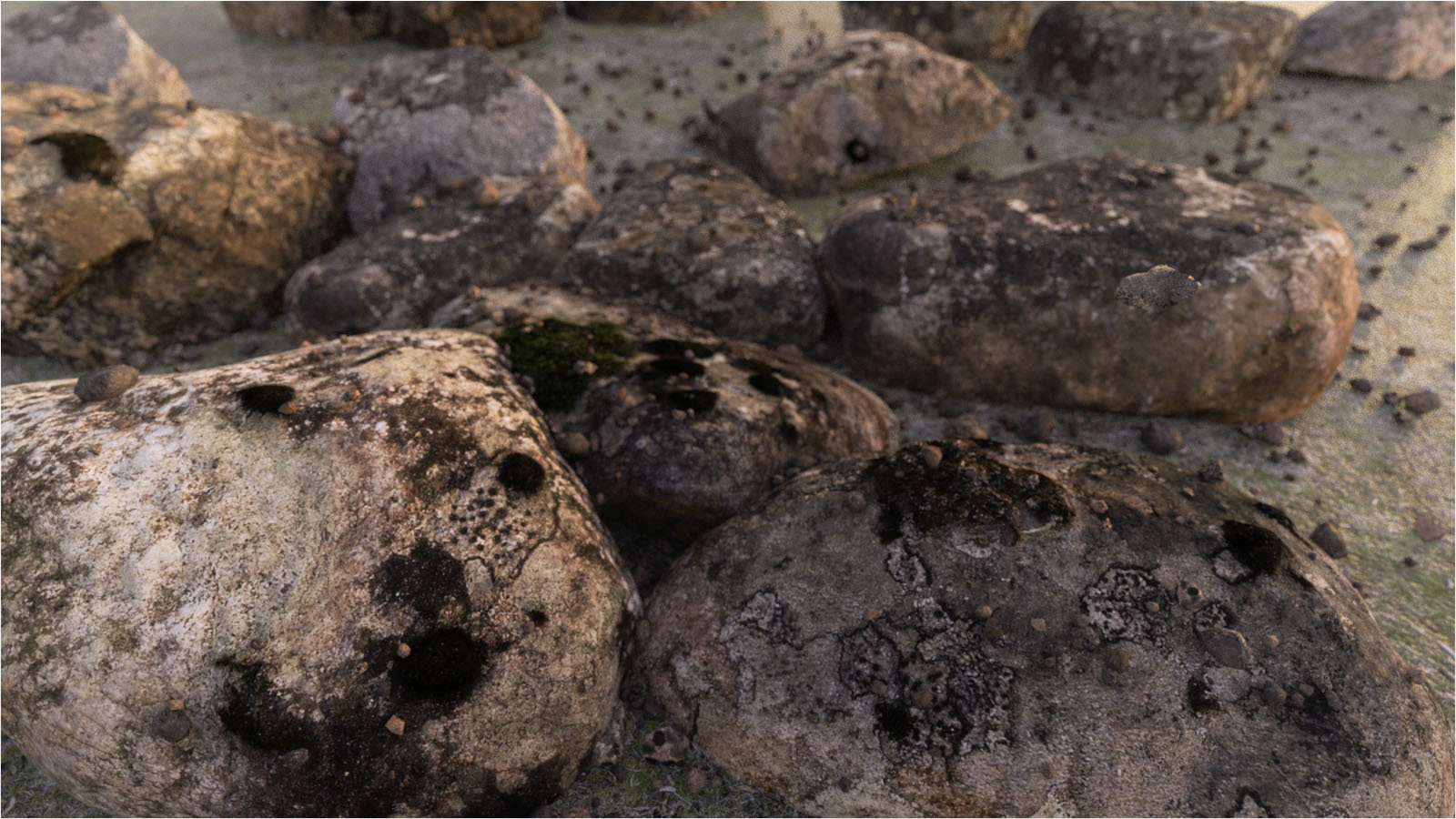 Photo Props: Forest Rocks by N/A