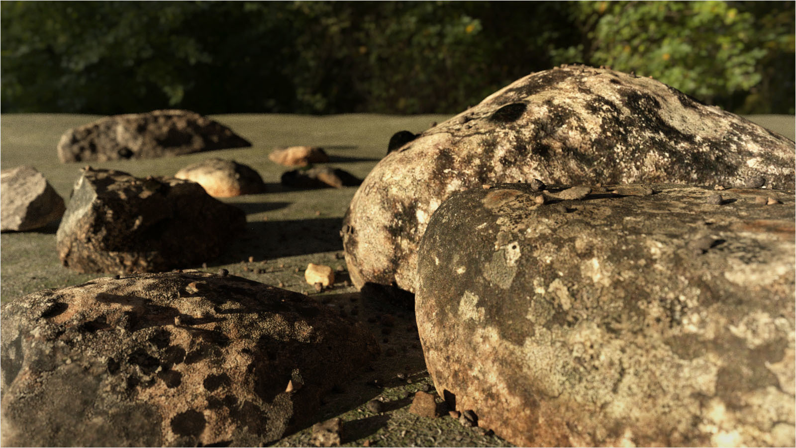 Photo Props: Forest Rocks by N/A