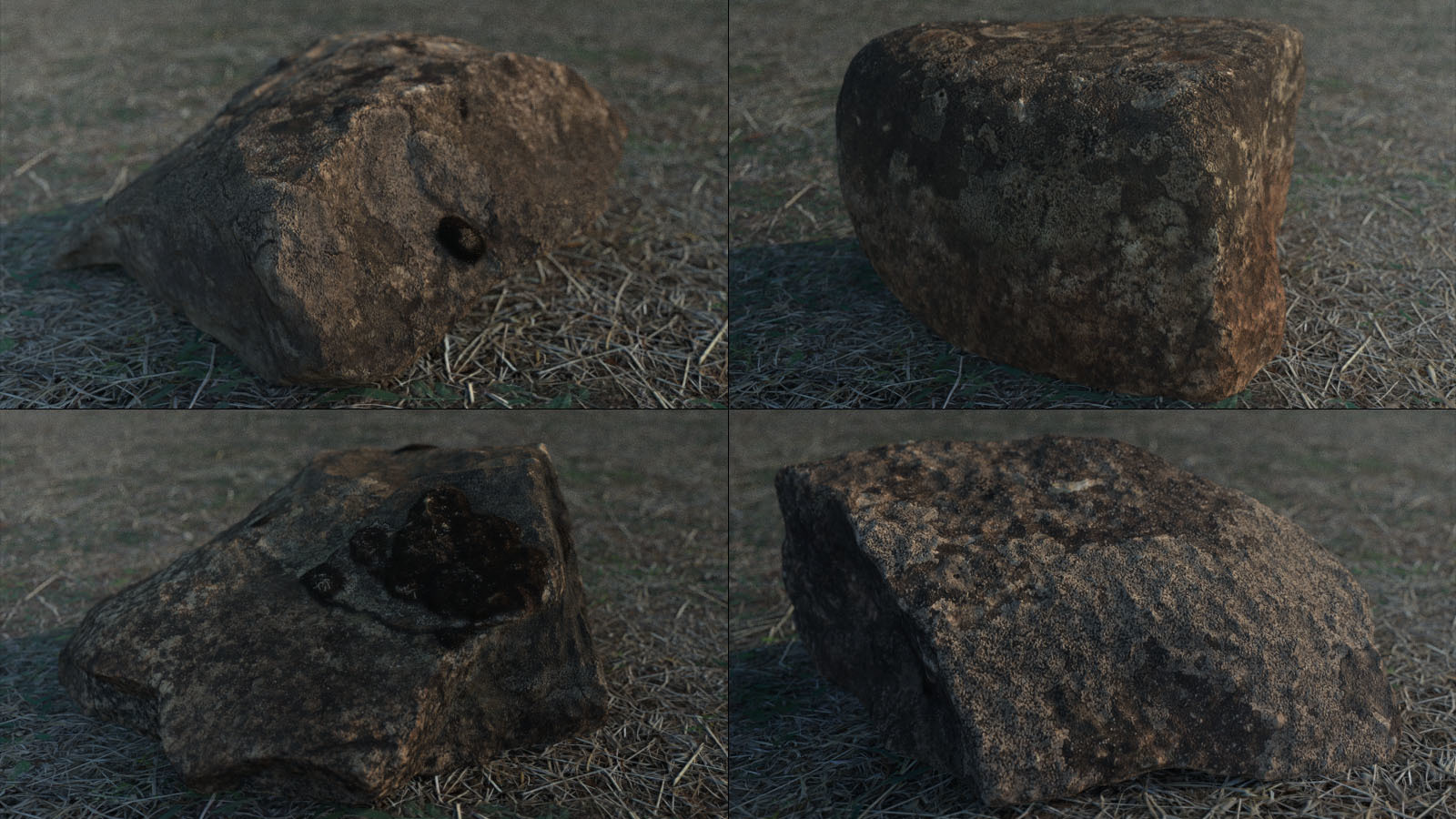 Photo Props: Forest Rocks by N/A