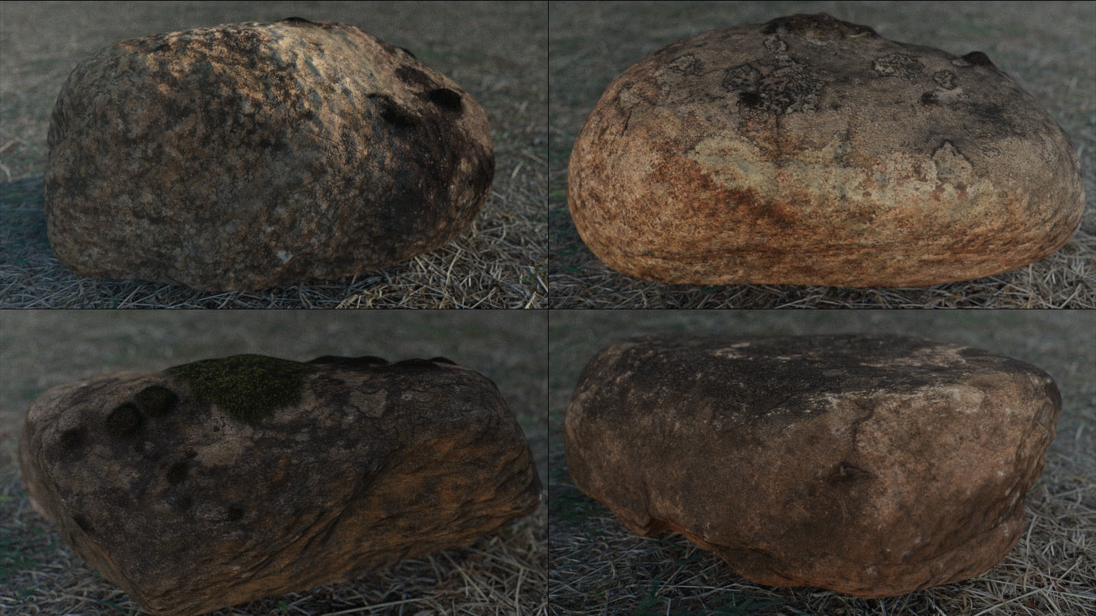 Photo Props: Forest Rocks by N/A