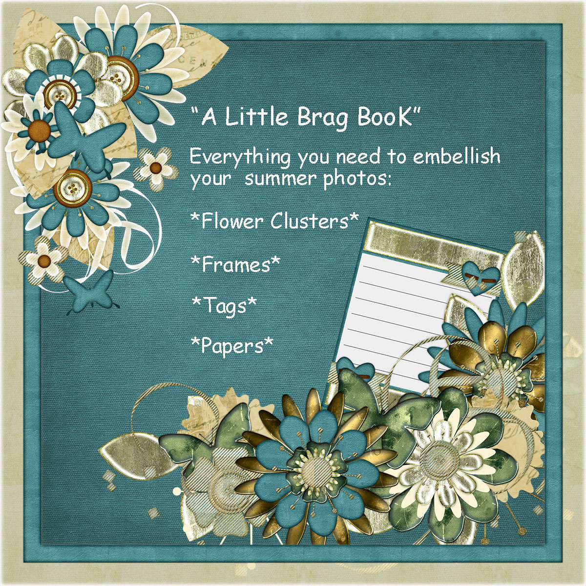 LITTLE SUMMER BRAG BOOK by N/A