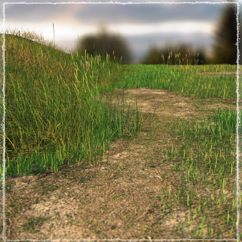 Photo Plants: Grass World by N/A