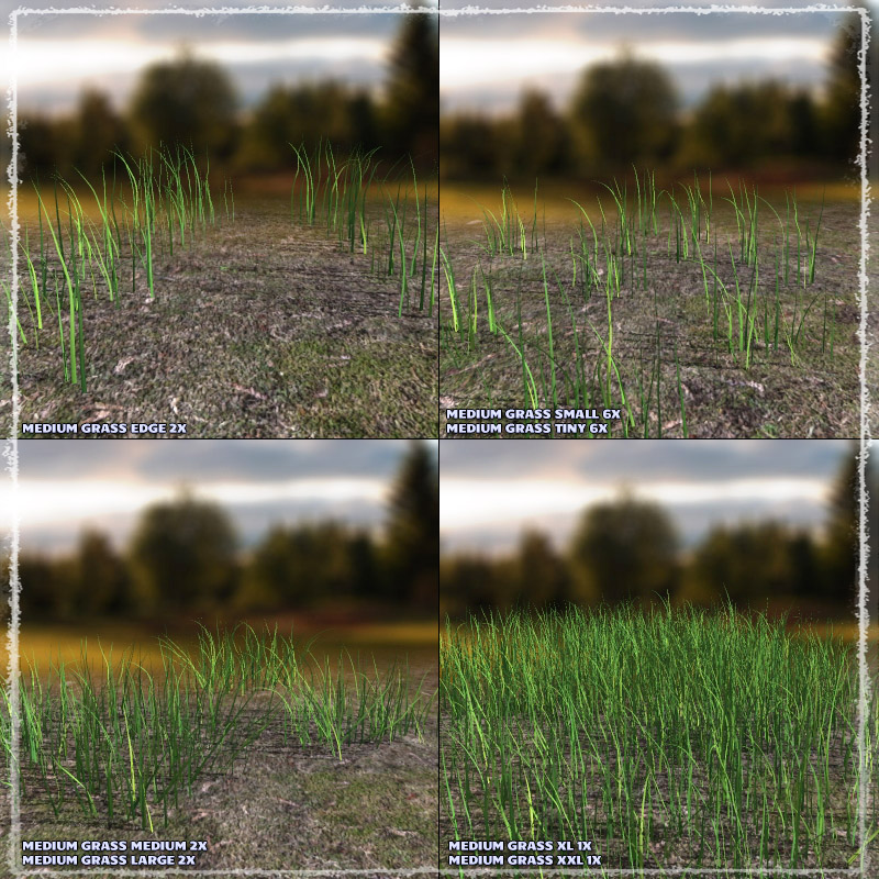 Photo Plants: Grass World by N/A