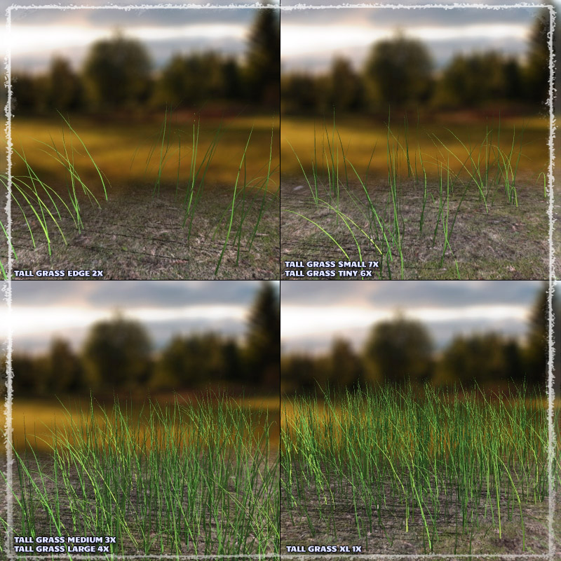 Photo Plants: Grass World by N/A