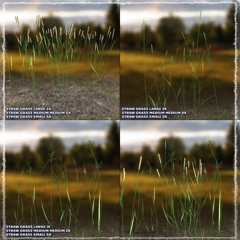 Photo Plants: Grass World by N/A