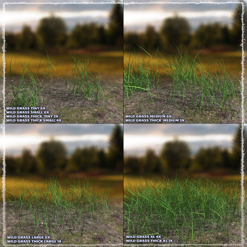 Photo Plants: Grass World by N/A