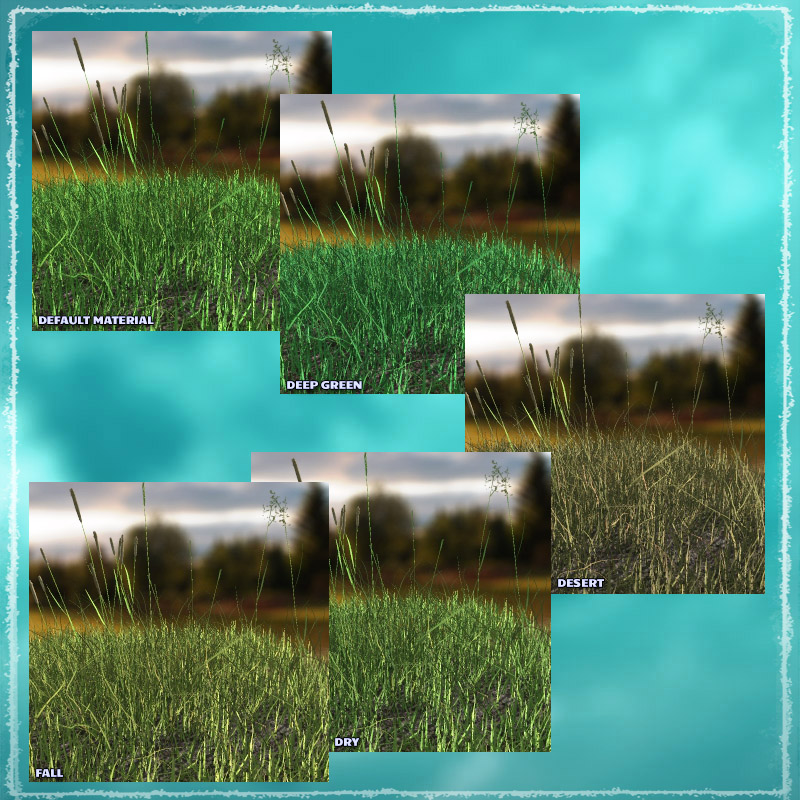 Photo Plants: Grass World by N/A