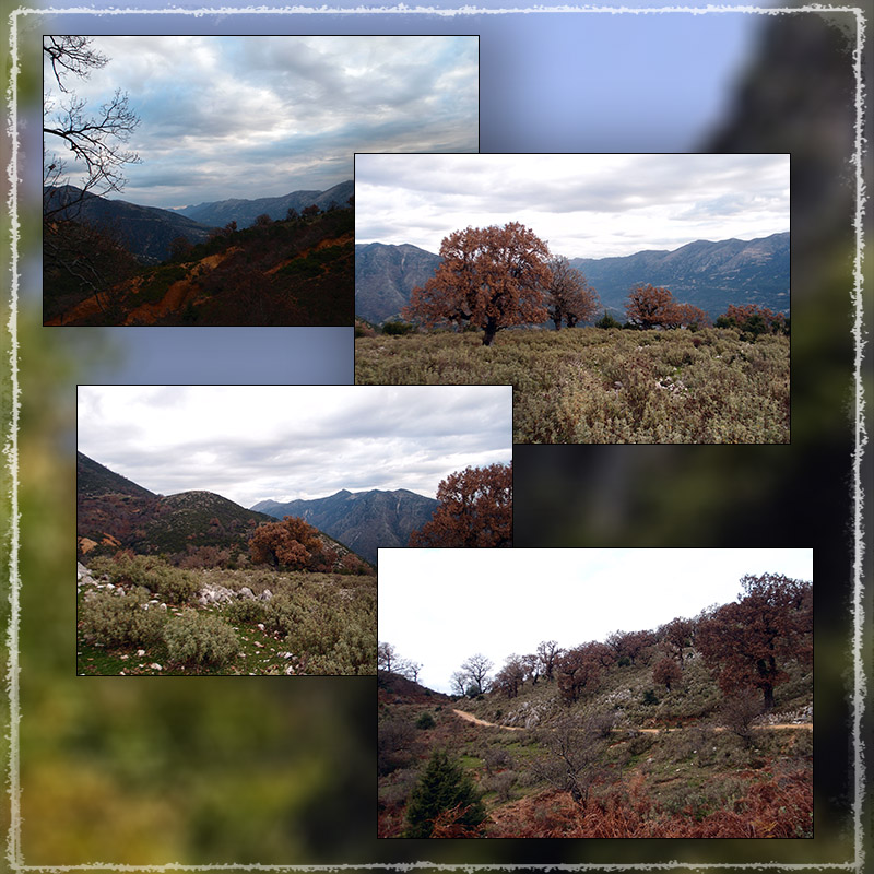 Photo Backgrounds: Greek Mountain Vistas by N/A
