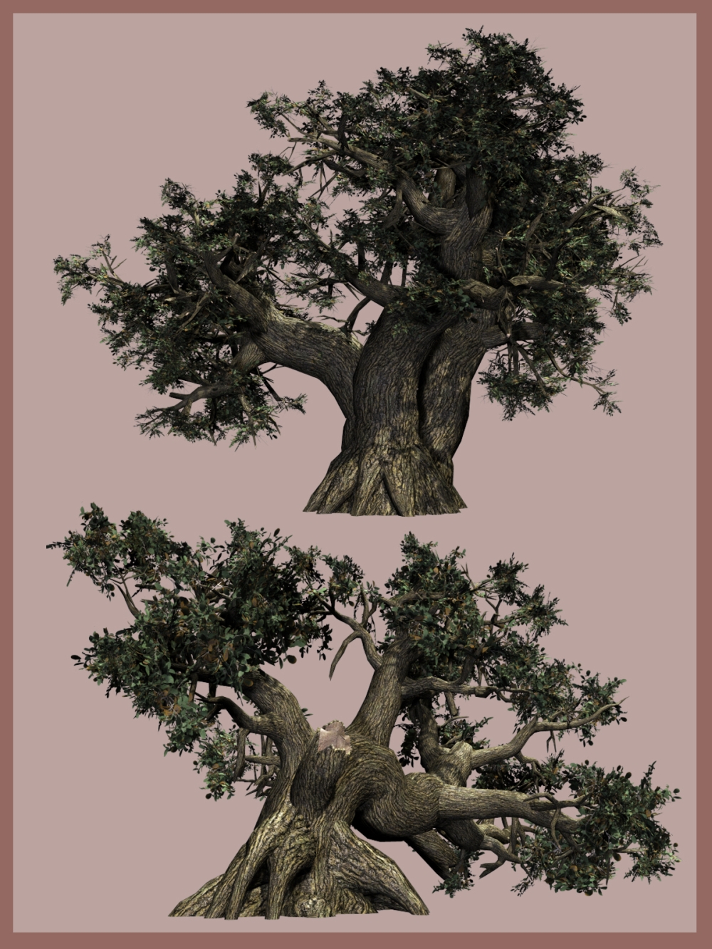 Old Trees DR 2015 by N/A