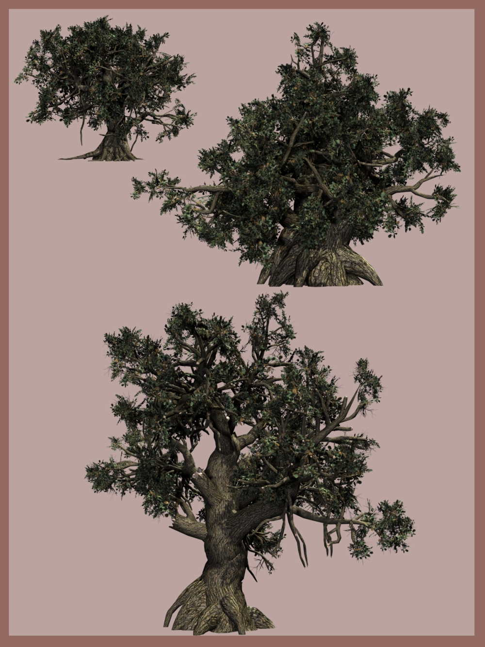 Old Trees DR 2015 by N/A