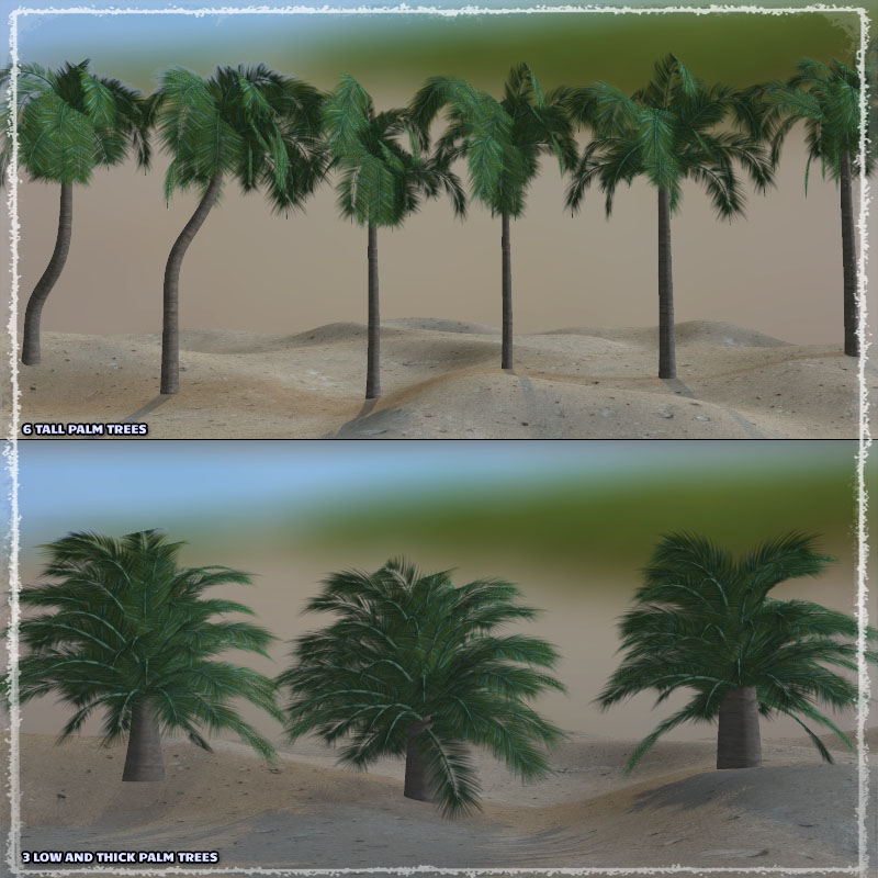 Photo Plants: Palm World by N/A