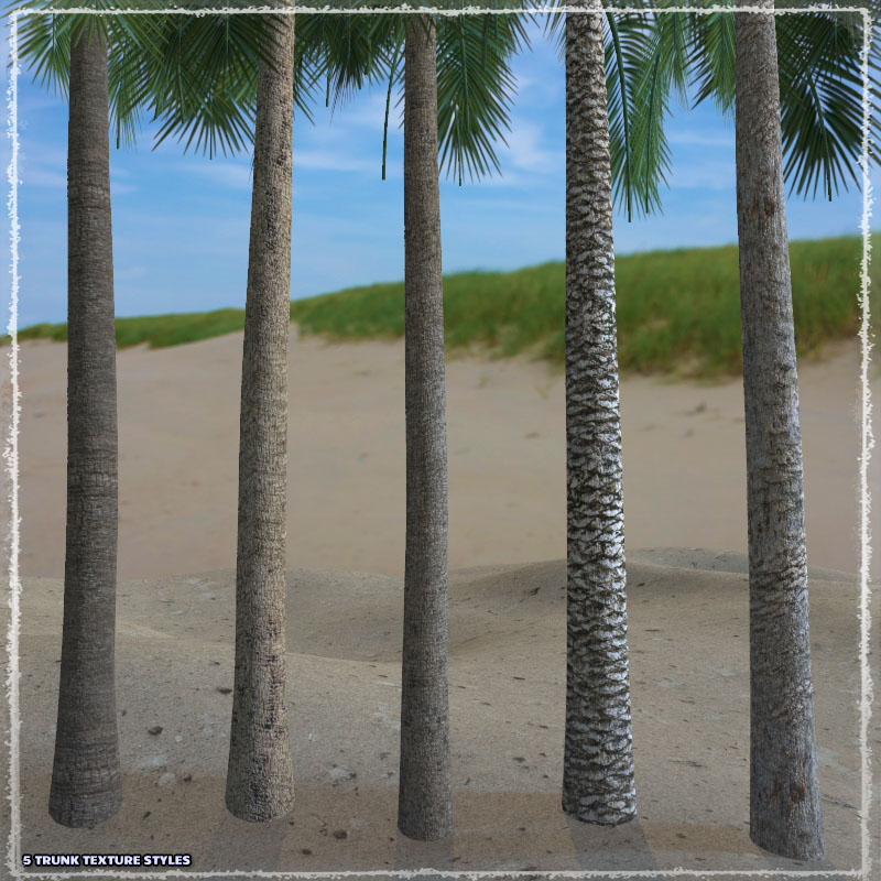 Photo Plants: Palm World by N/A
