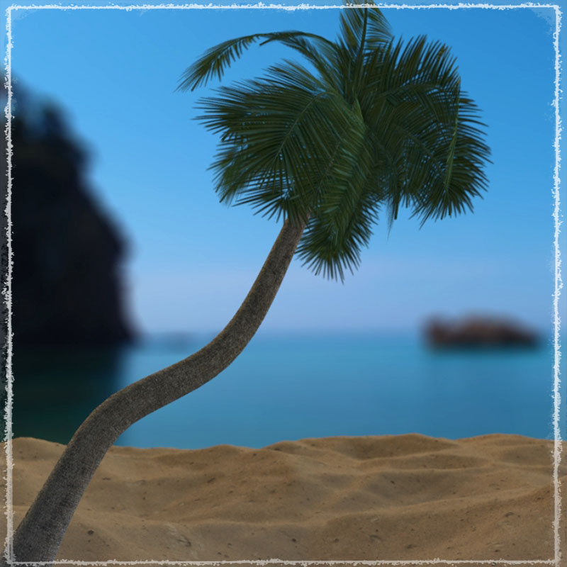 Photo Plants: Palm World by N/A