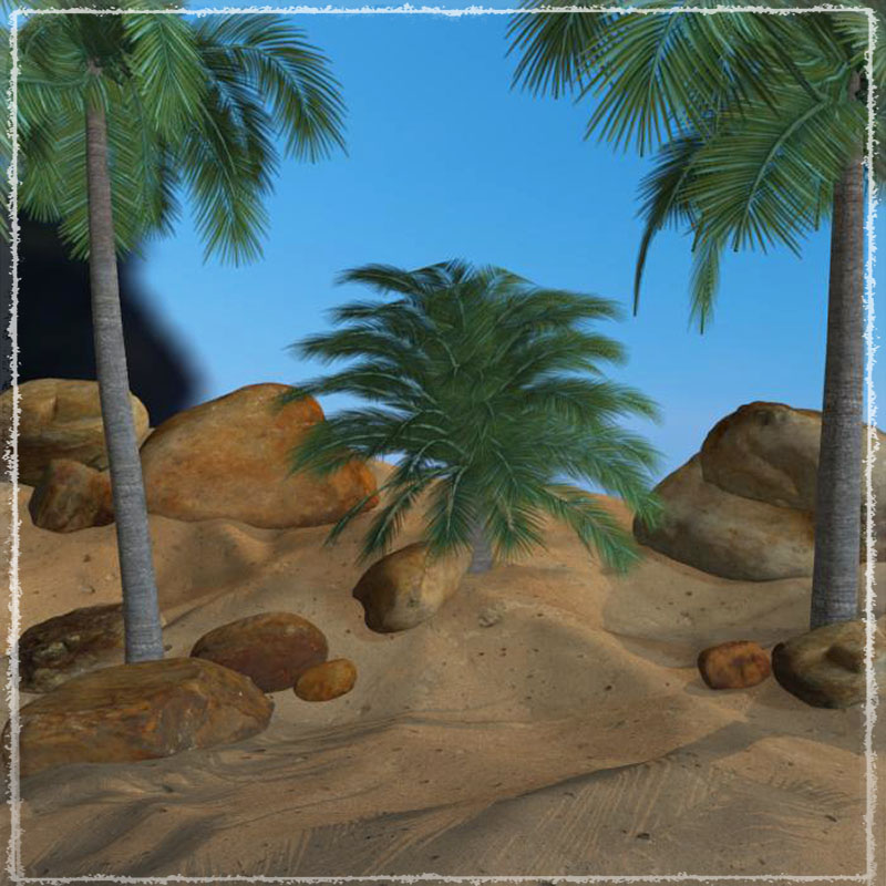 Photo Plants: Palm World by N/A