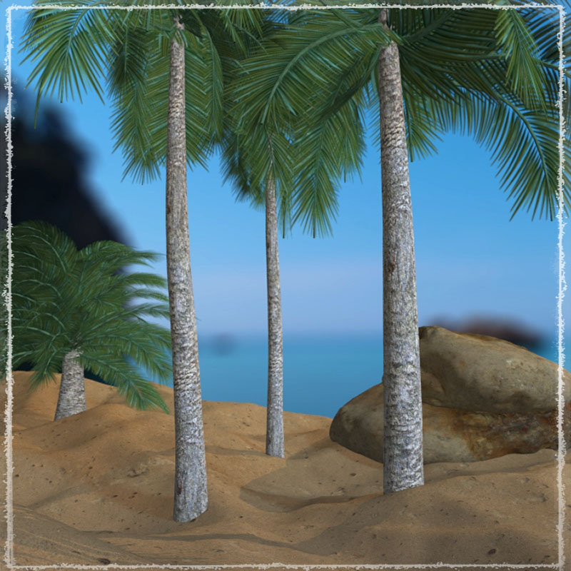 Photo Plants: Palm World by N/A