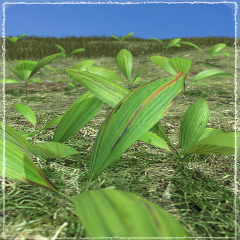 Photo Plants: Fantasy Plant World by N/A