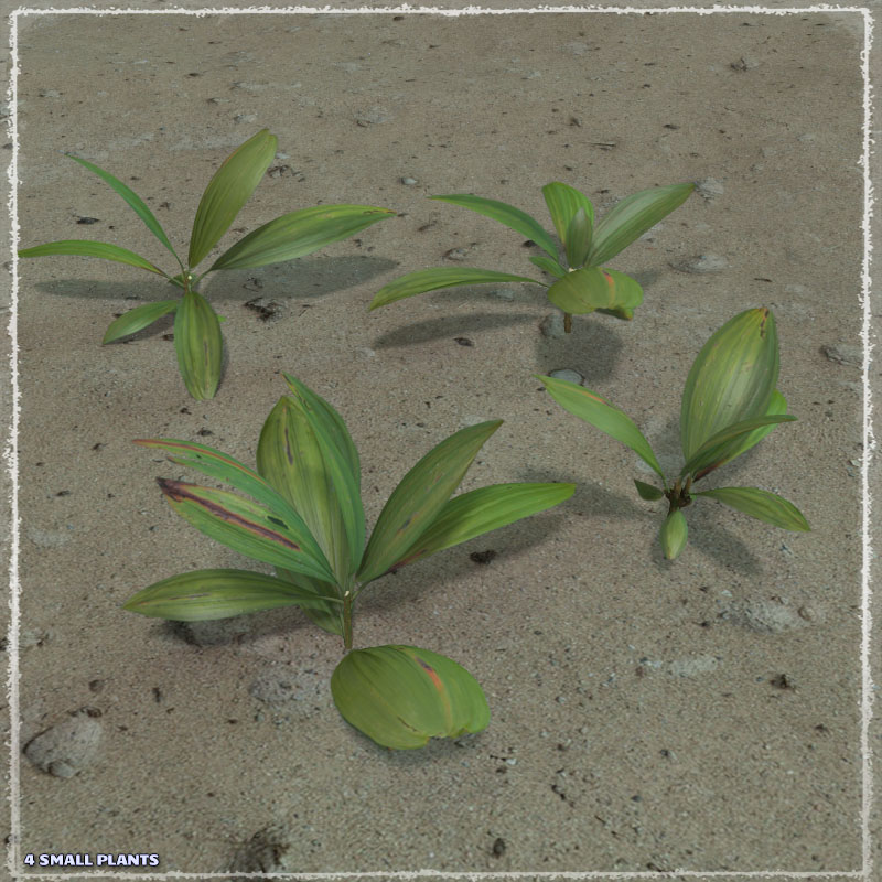 Photo Plants: Fantasy Plant World by N/A