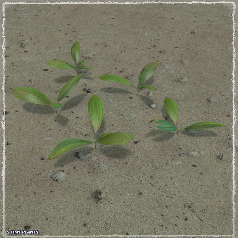 Photo Plants: Fantasy Plant World by N/A