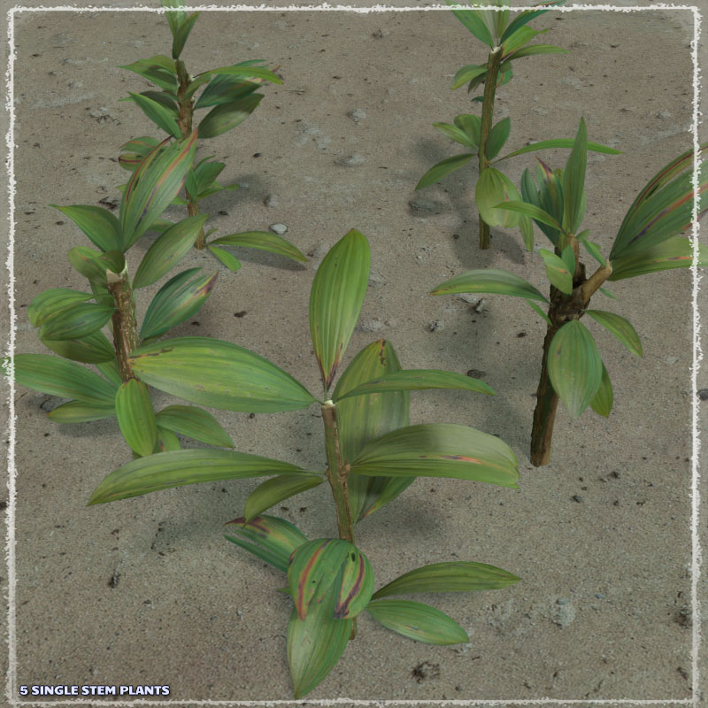 Photo Plants: Fantasy Plant World by N/A