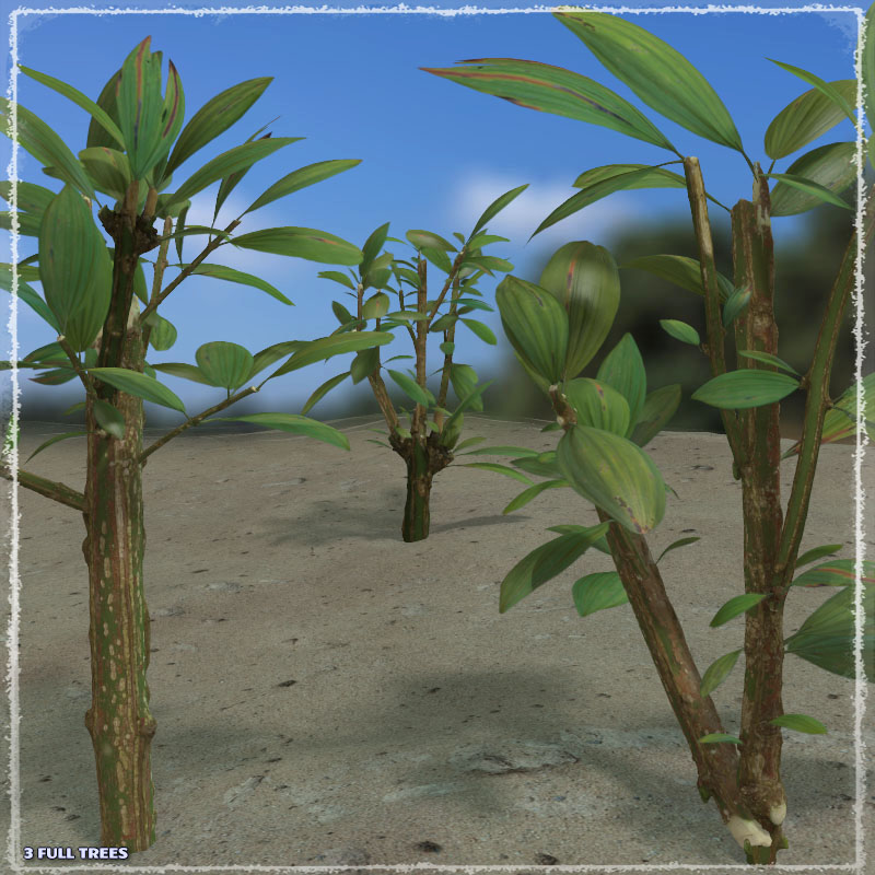 Photo Plants: Fantasy Plant World by N/A