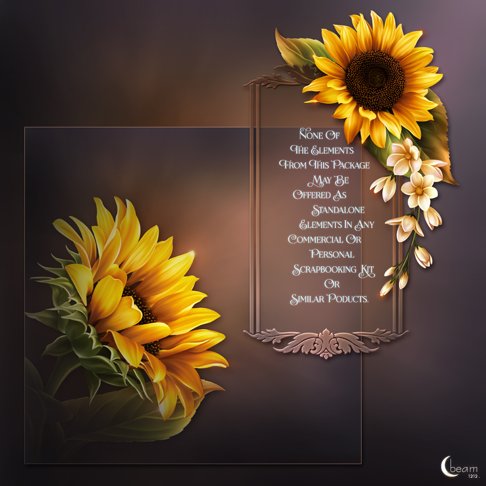 Moonbeam's Bright Yellow Sunflowers by N/A