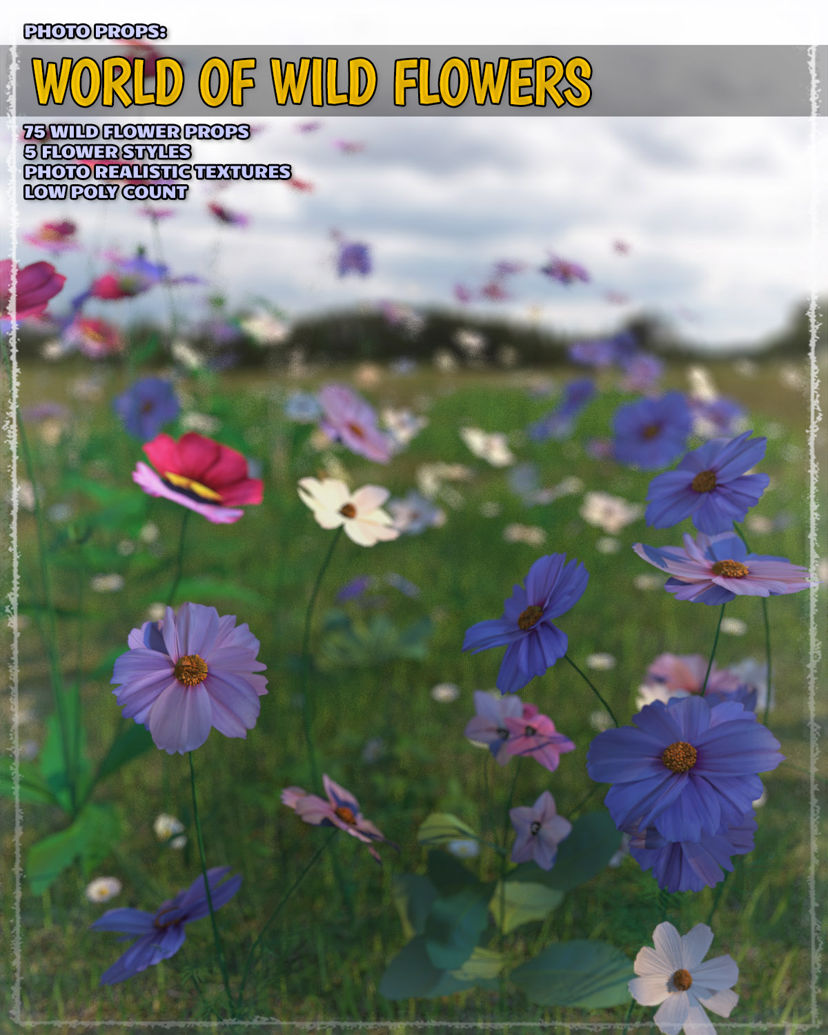 Photo Plants: World of Wildflowers by N/A