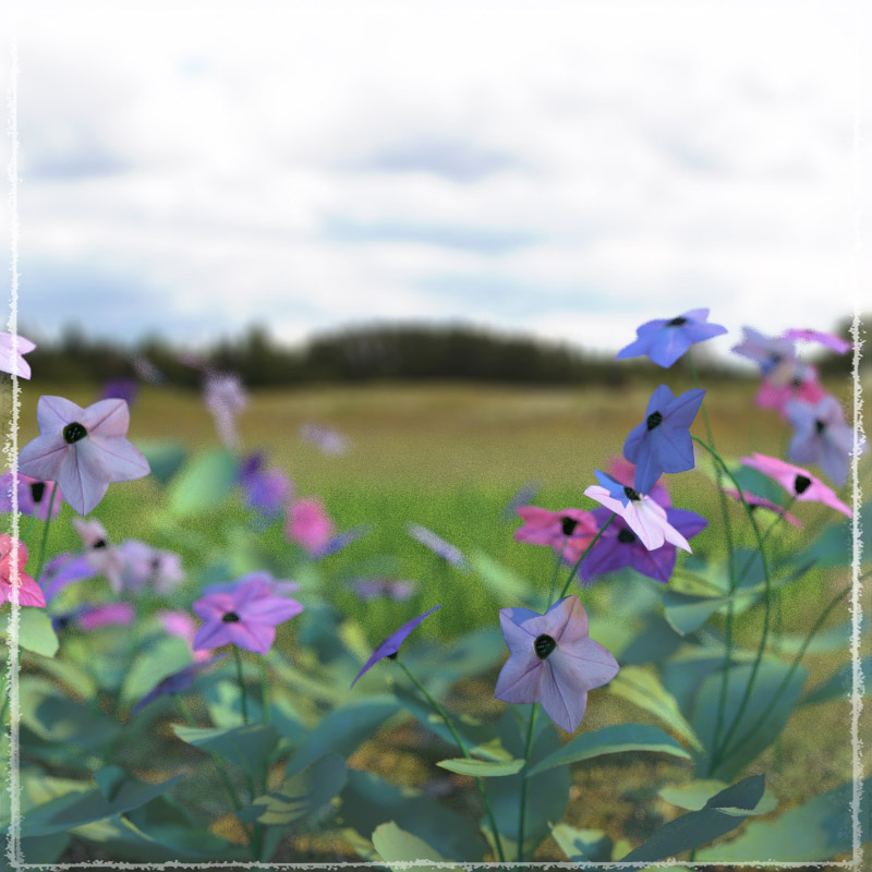Photo Plants: World of Wildflowers by N/A