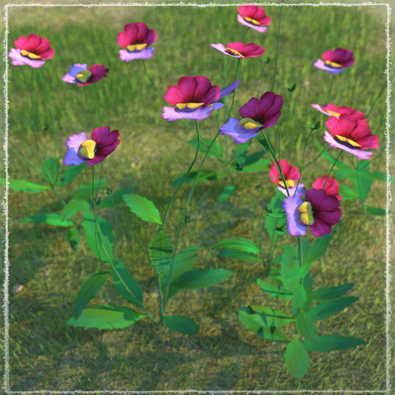 Photo Plants: World of Wildflowers by N/A